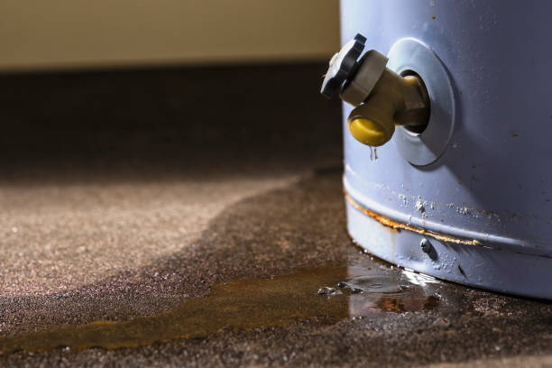 Best Basement water damage restoration  in Detroit, MI