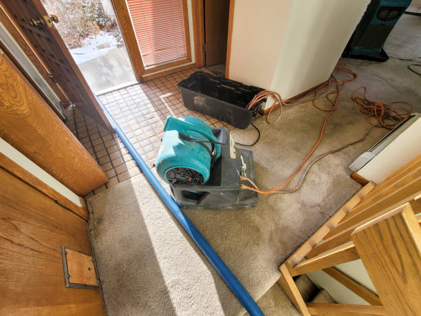 Best Flood restoration services  in Detroit, MI