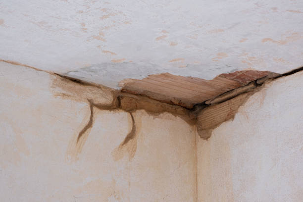 Best 24/7 water damage repair  in Detroit, MI