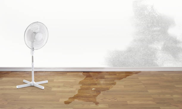 Water damage restoration mold remediation in Detroit, MI