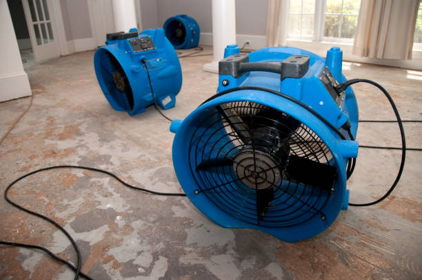 Best Water damage contractors near me  in Detroit, MI