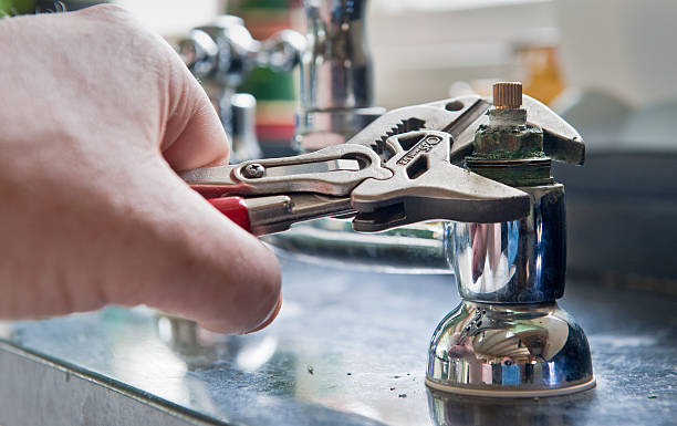 Best Mold removal after water damage  in Detroit, MI