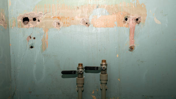 Best Water damage contractors near me  in Detroit, MI
