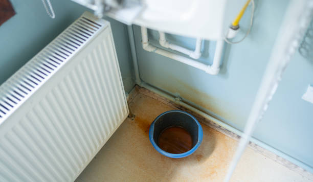 Best Emergency water extraction  in Detroit, MI