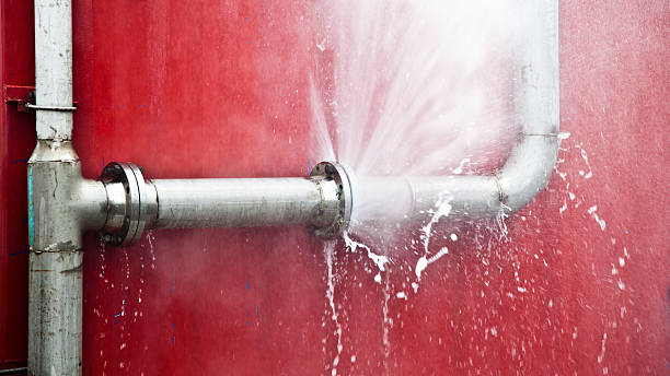 Best Flood damage cleanup  in Detroit, MI